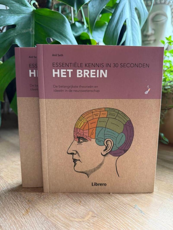 The Brain in 30 Seconds - Anil Seth