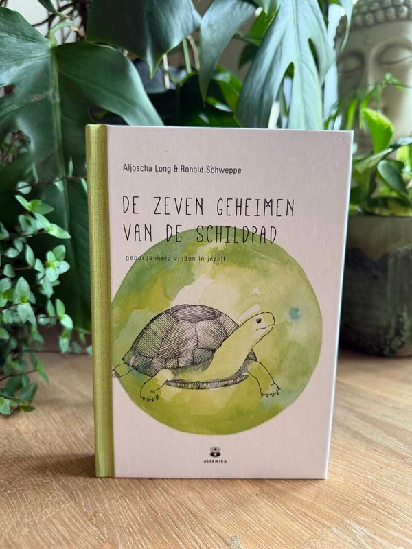 The Seven Secrets of the Turtle
