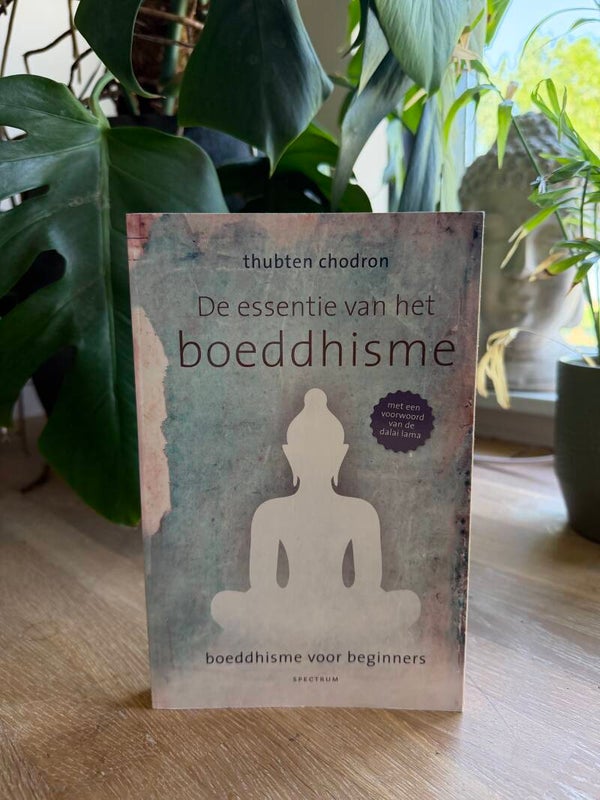 De essentie van het boeddhisme  Thubten Chodron