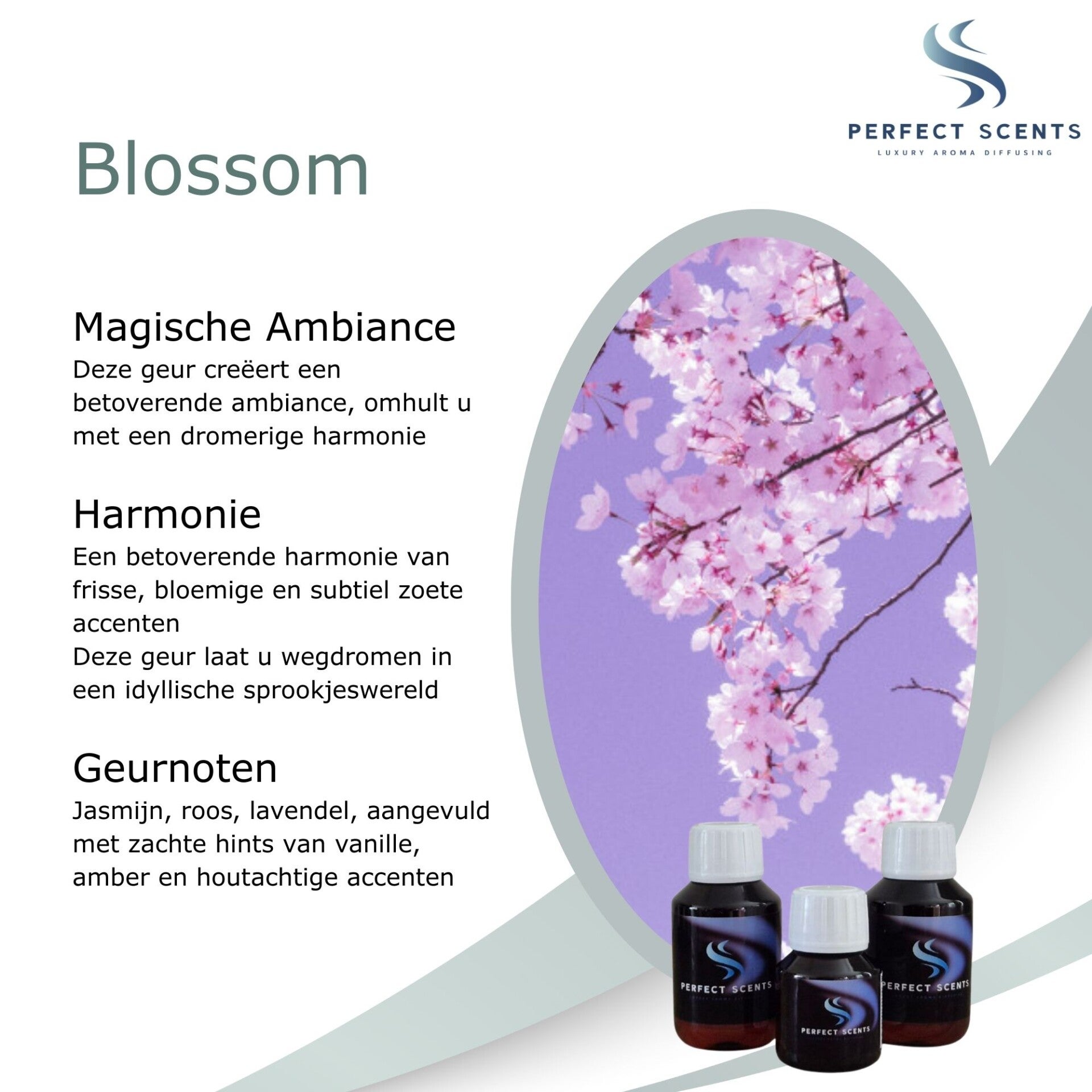 Blossom