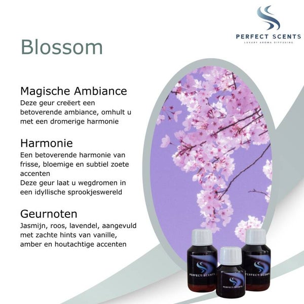 Blossom