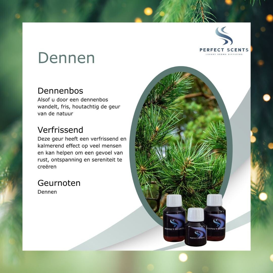 Dennen = Kerstboom