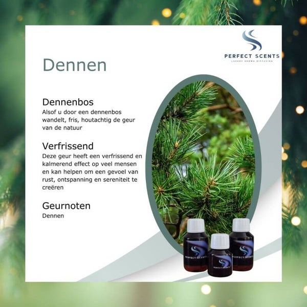 Dennen = Kerstboom