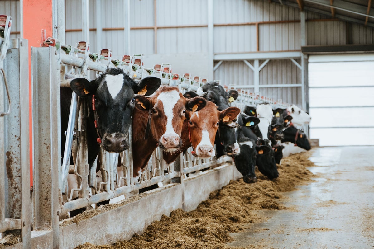 boerderij-hoeveproducten-haerinck