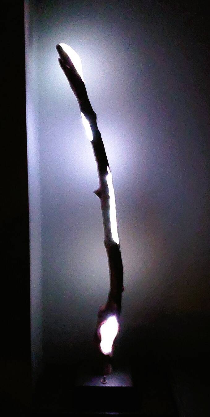 Driftwood lamp - O.M.S. Art and Creations