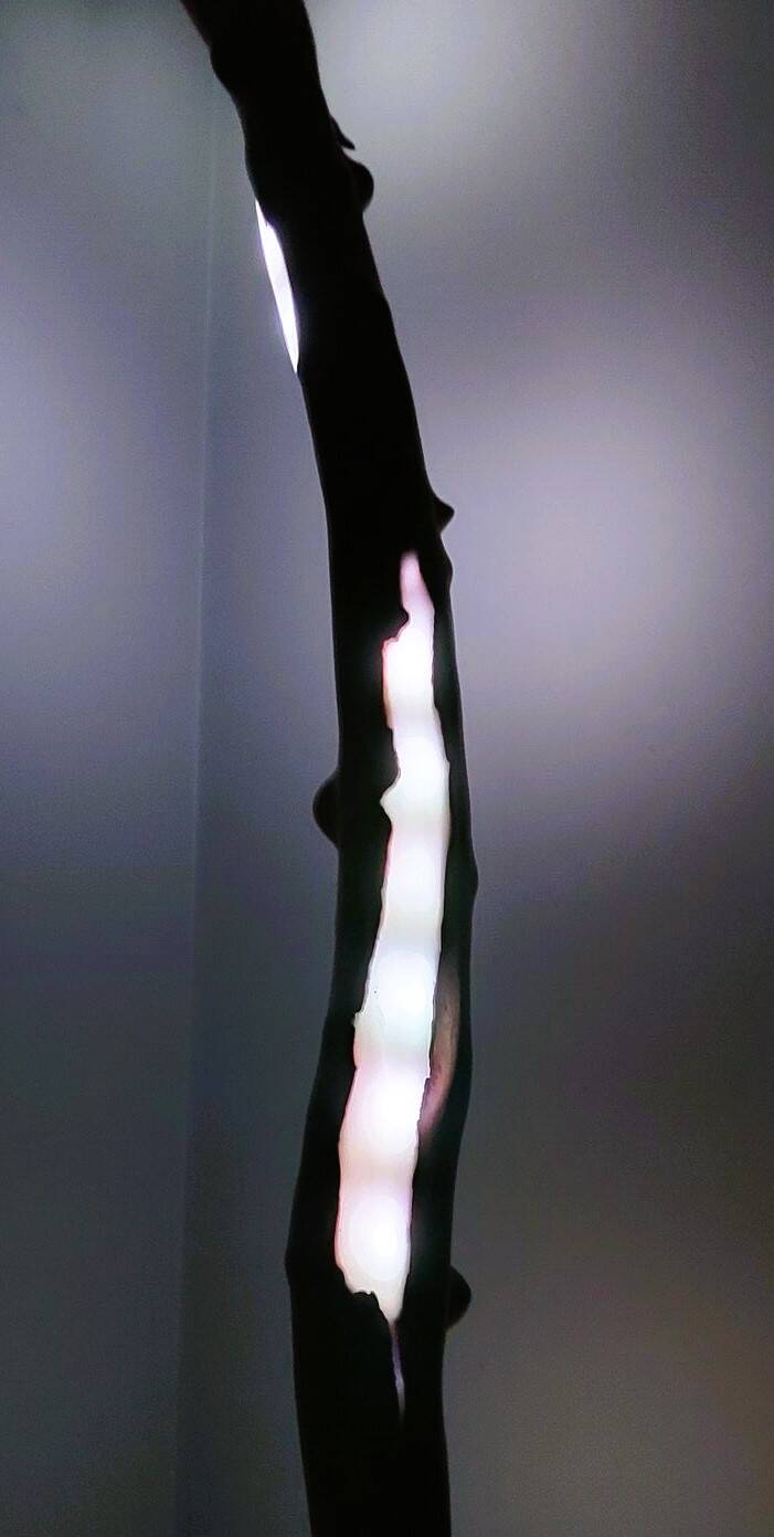 Driftwood lamp - O.M.S. Art and Creations