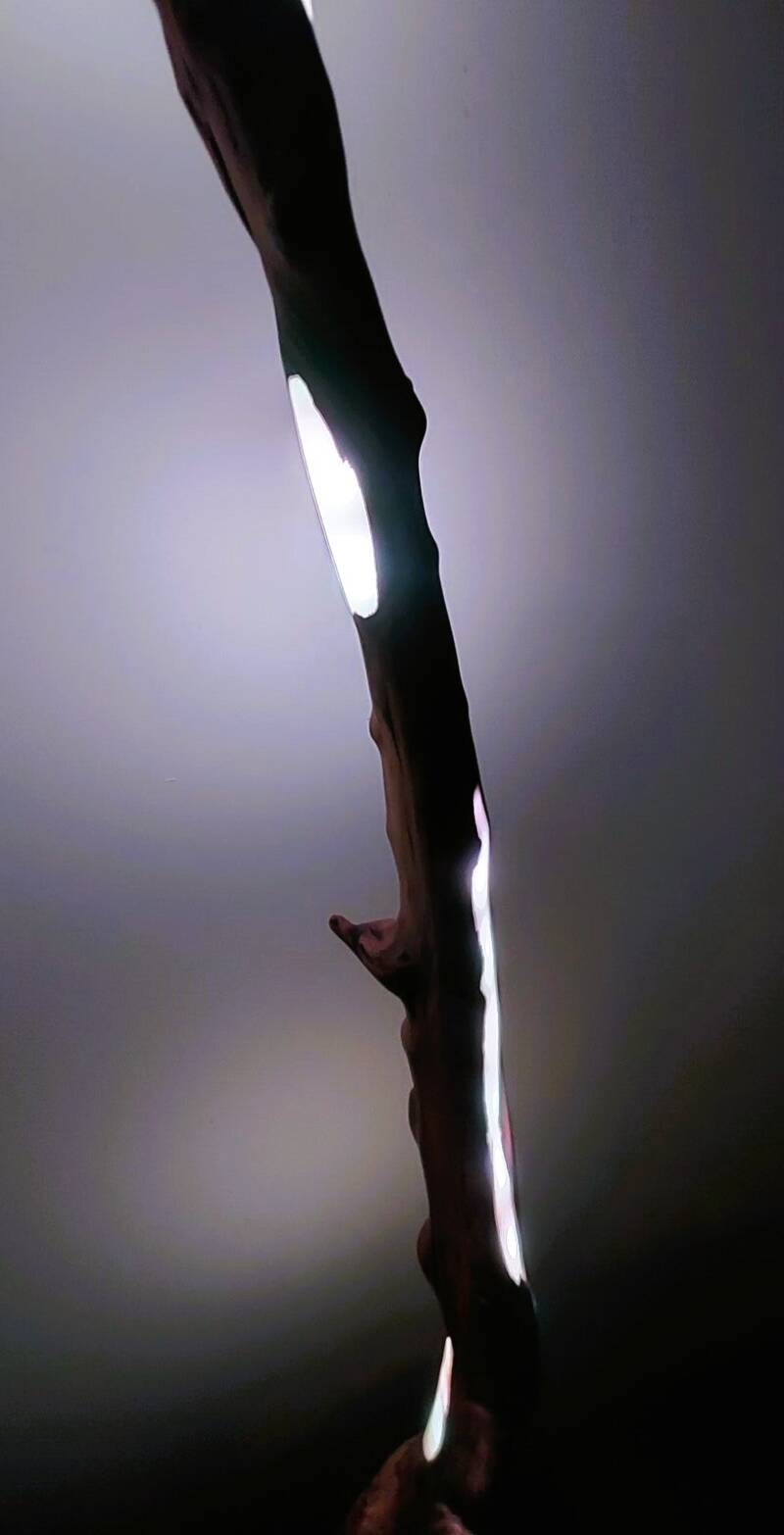 Driftwood lamp - O.M.S. Art and Creations