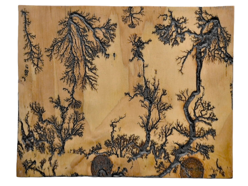 Fractal wooden wall art - O.M.S. Art and Creations