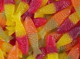 Winegum  Vissen