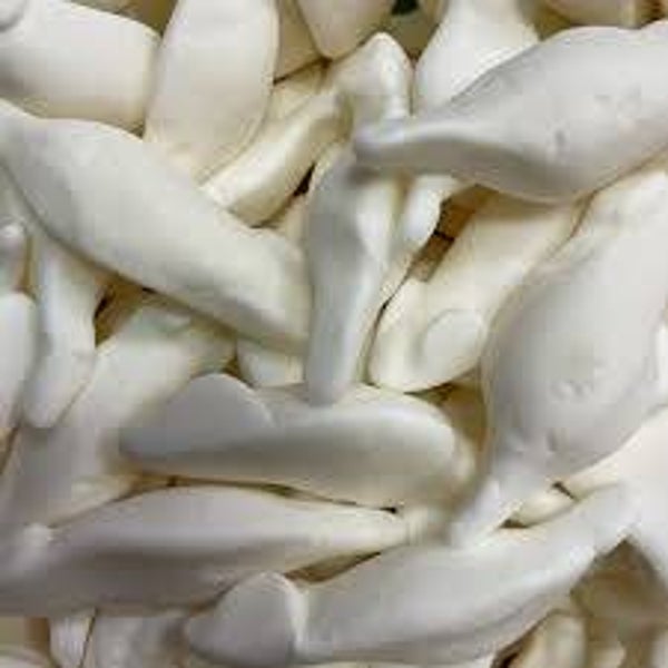 Witte Muizen
