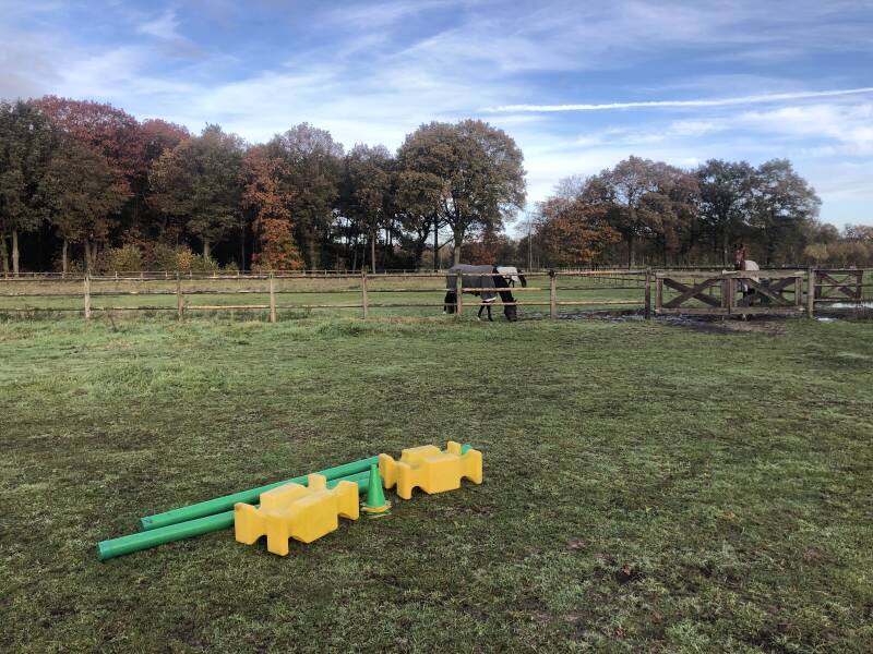 De coach omgeving bij Valetudo Coaching