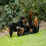 DSC07567.jpg