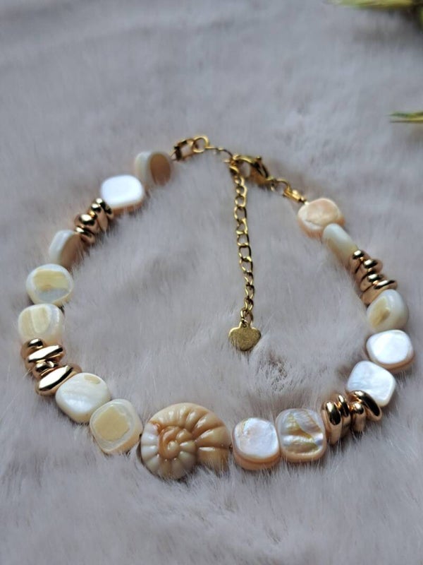 Schelpengloed