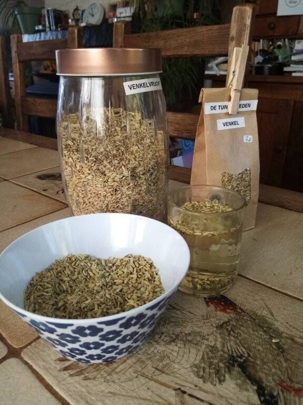 🌿 Workshop: Maak je eigen kruidenzout – Tuin van Eden