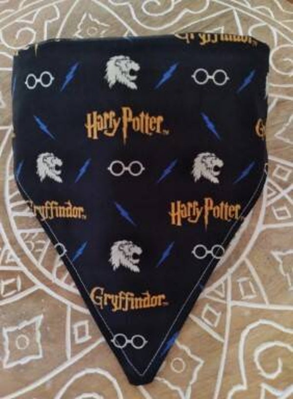 Harry Potter