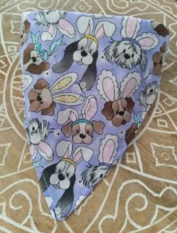 I'm Bunny Today