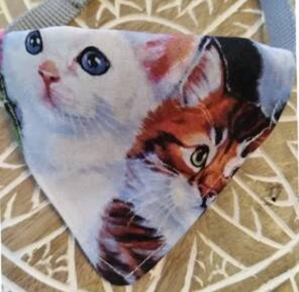 Kitty's