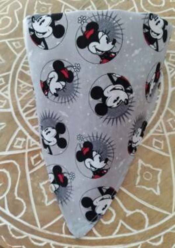 Mickey & Minnie