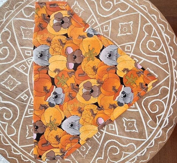 Pumpkin