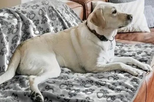 Calming Blanket (Gray)