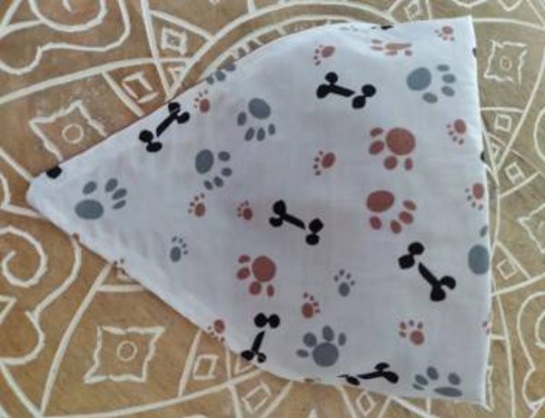 Puppy paws