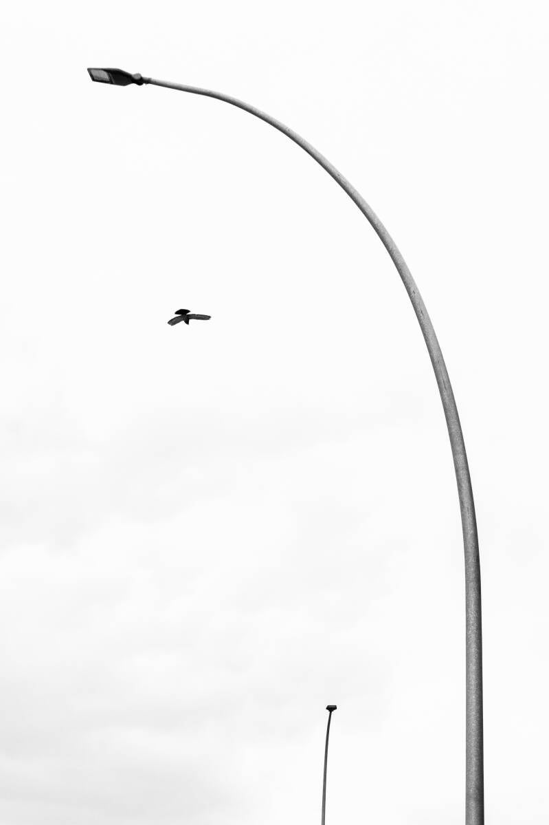 p1060788-standard-c311h8.jpg
