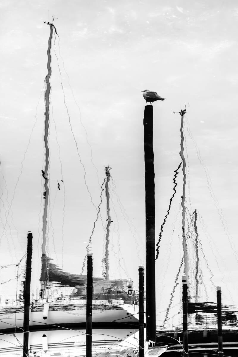p1080114-verbessert-rr-standard.jpg