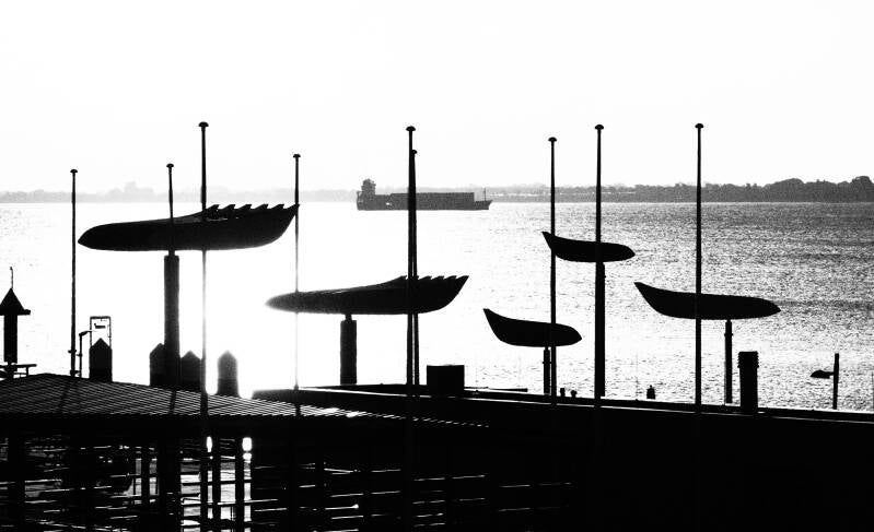p9185403-2-standard.jpg