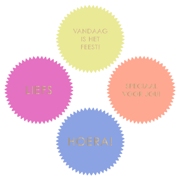 Cadeaustickers | Happy Color Feest 10 stuks