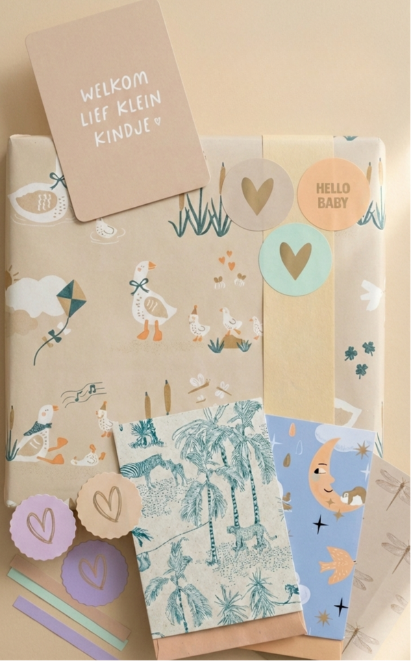 Inpakset 'Newborn Celebration'