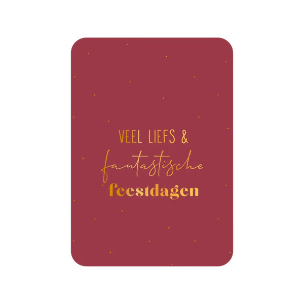 Kerstkaart Veel Liefs & Fantastische Feestdagen (met goudfolie)