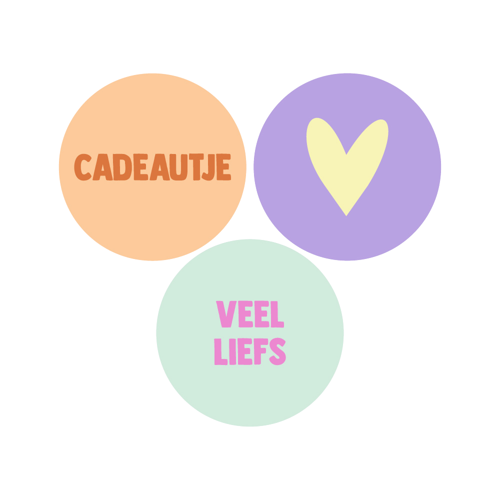 Cadeaustickers | Cadeautje & Veel Liefs 10 stuks