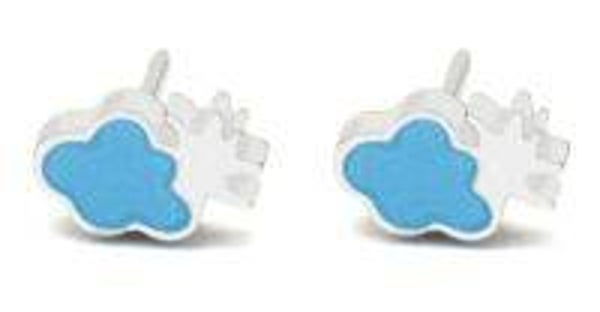 studs druiven zilver