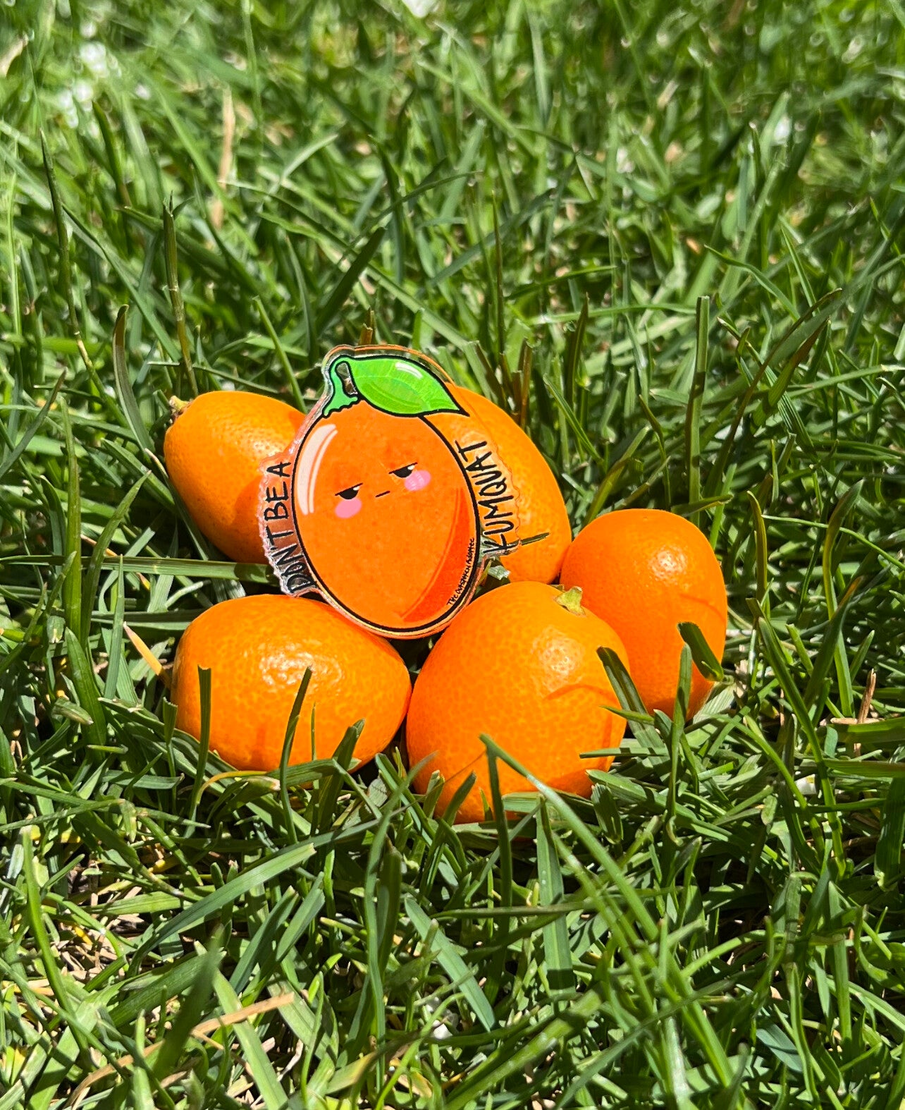 Don't Be A Kumquat Pin