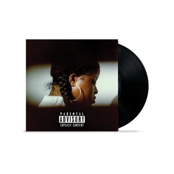 Che Noir & The Other Guys - No Validation LP