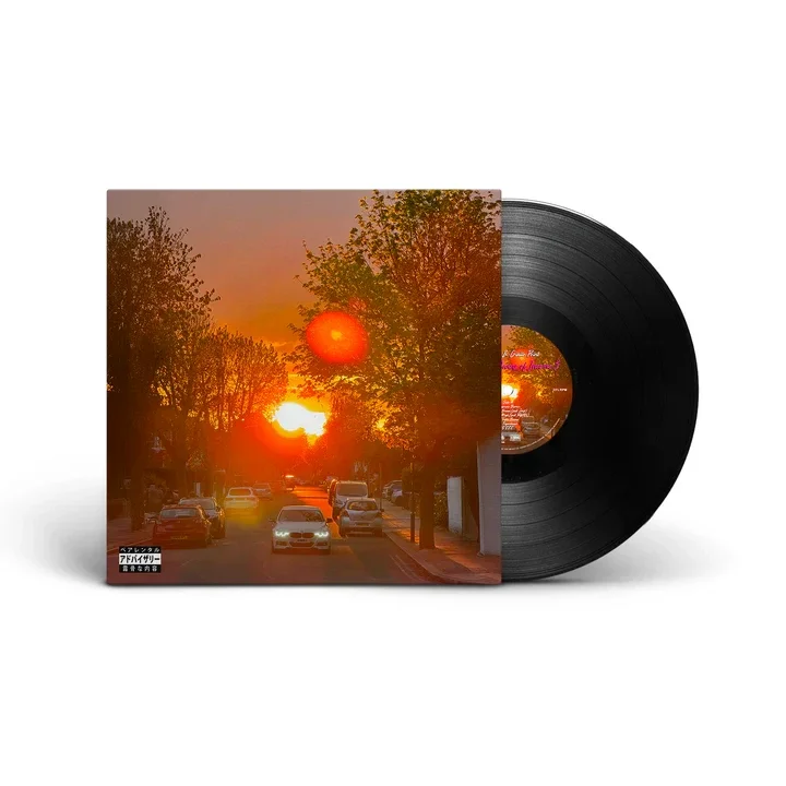 disk マルフクシンカ リズム谷茶 シングルレコード 琉球レアグルーヴ disk マルフクシンカ リズム谷茶 シングルレコード 琉球レア