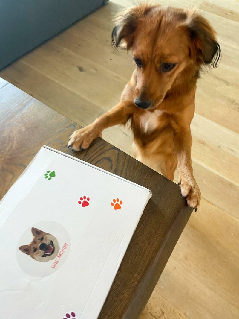 Lily kan niet wachten om haar Kennismakingsbox te openen