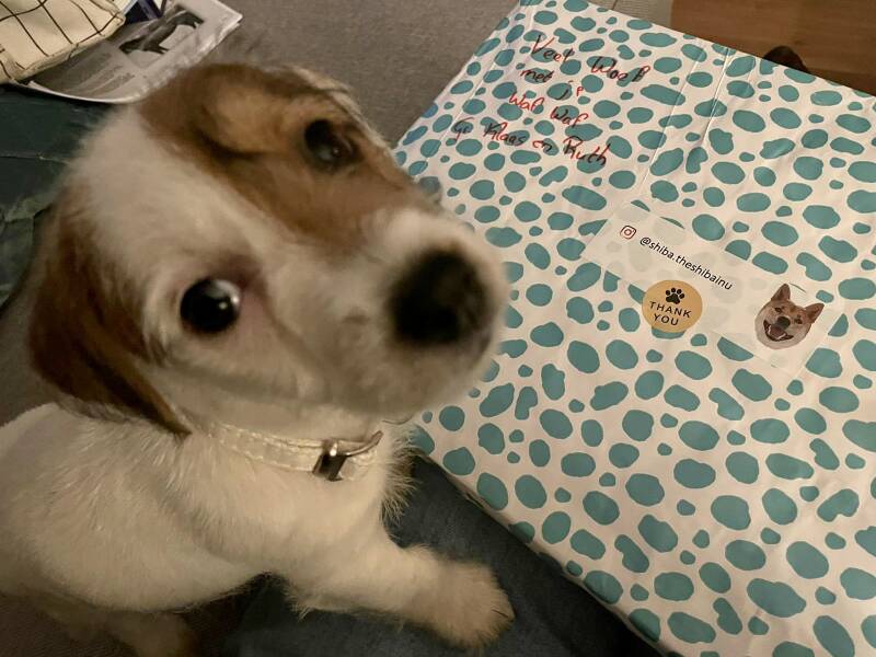 Skye verrast met een Kennismakingsbox