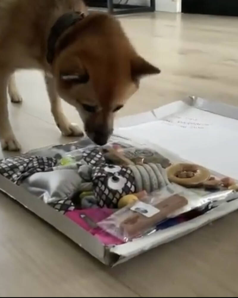 Luna verrast met een Kennismakingsbox