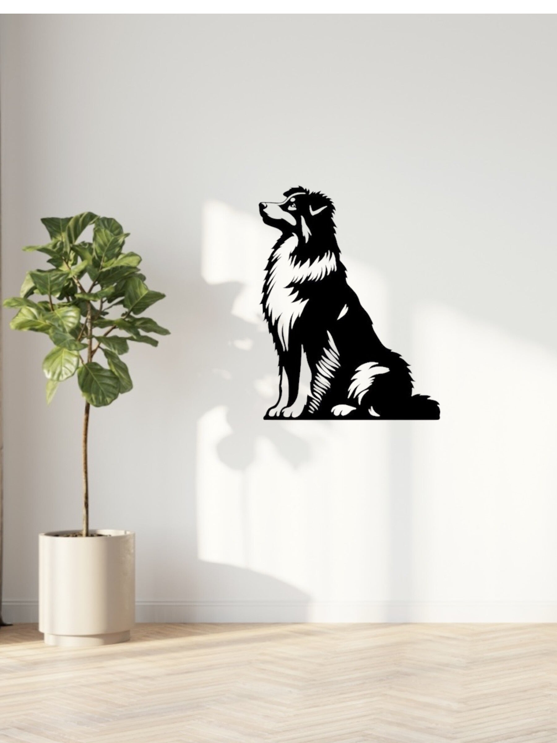 Australian Shepherd zittend