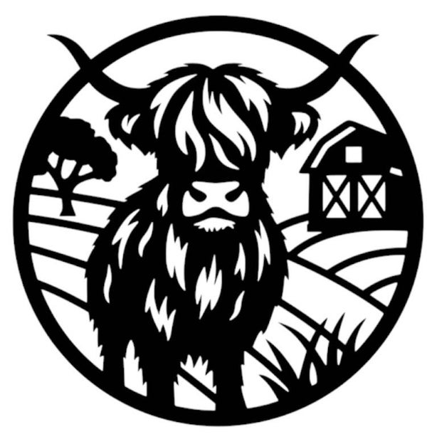 Schotse hooglander rond