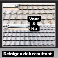 afbeelding-van-whatsapp-op-2024-11-02-om-21-25-49_803d2aed-standard.jpg