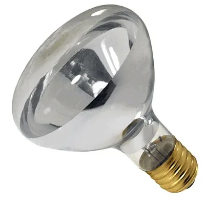 175watt Clear Bulb for Heat Lamp