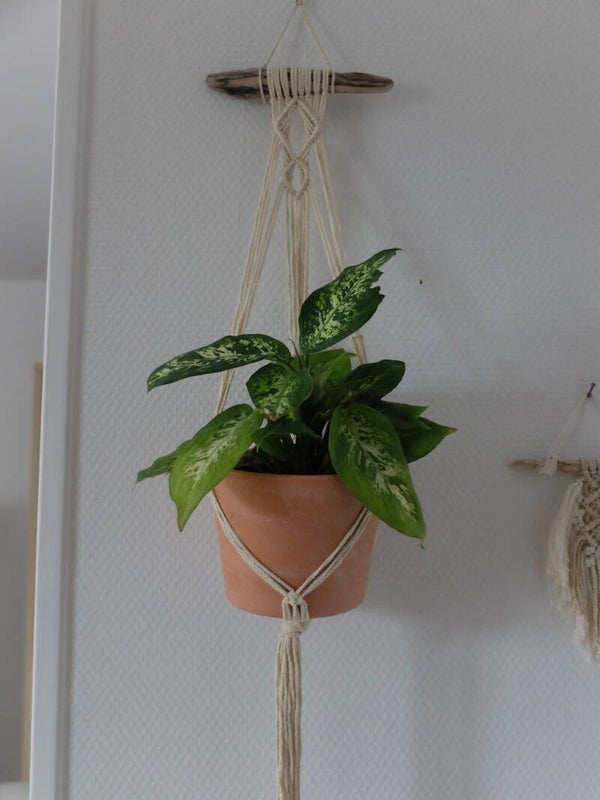 Suspension décorative  pour plante - P