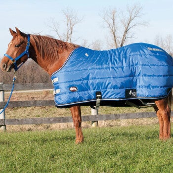 WEAVER - Thermo Winter Stable Blanket - 300gr. Füllung - 420D