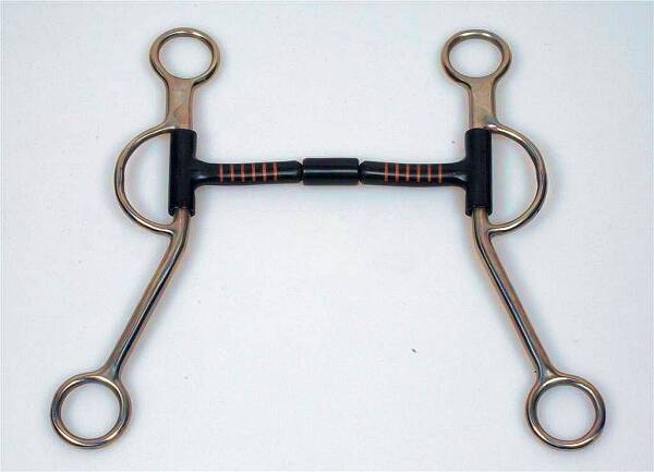 B. Allen Shanked Bit SS Shanks – BS Mundstück