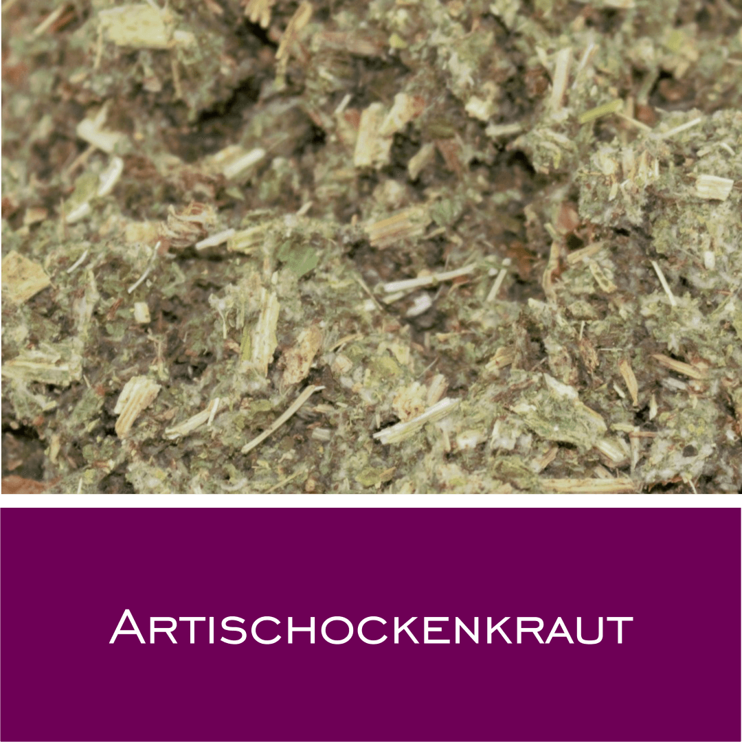Artischockenkraut
