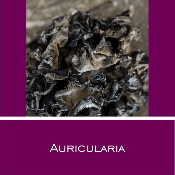 Auricularia - Vitalpilz-Pulver