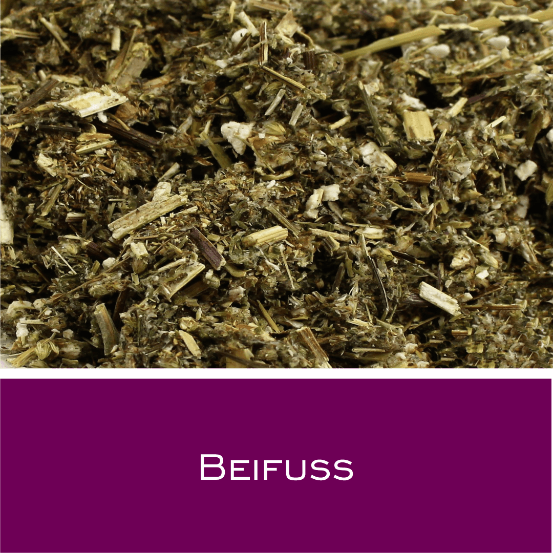 Beifuß geschnitten