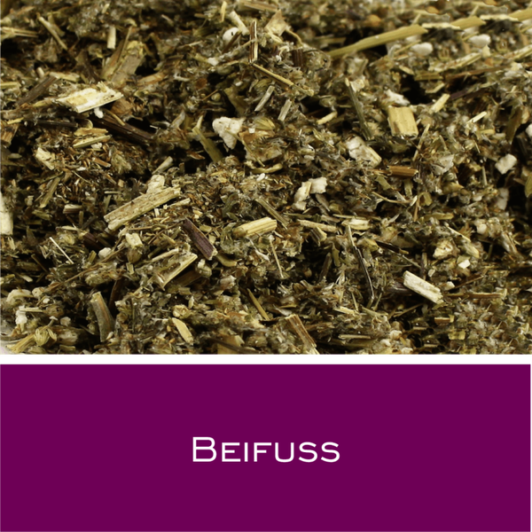 Beifuß geschnitten